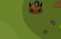 Война насекомых